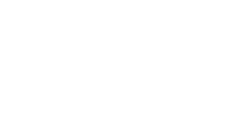 Soulever logo